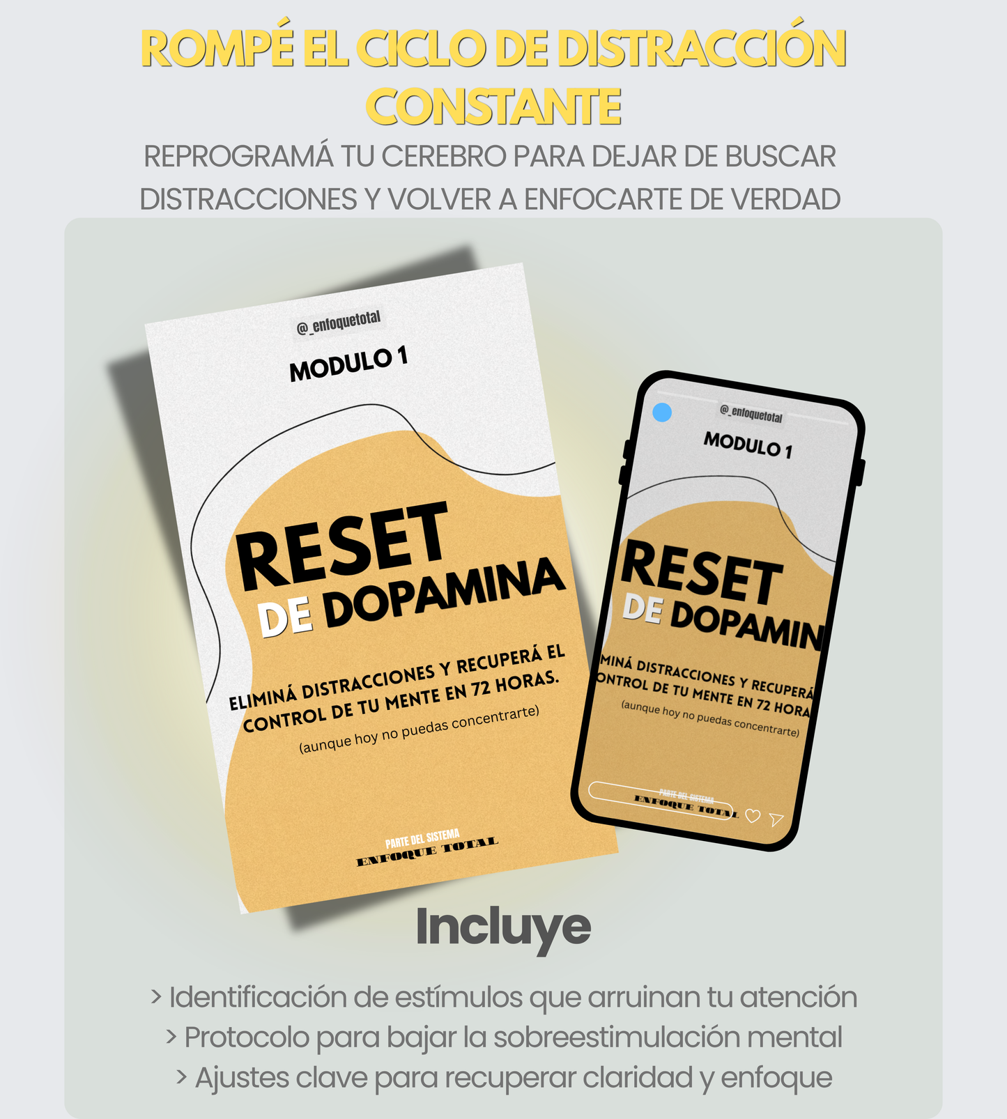 🧠 SISTEMA ENFOQUE TOTAL